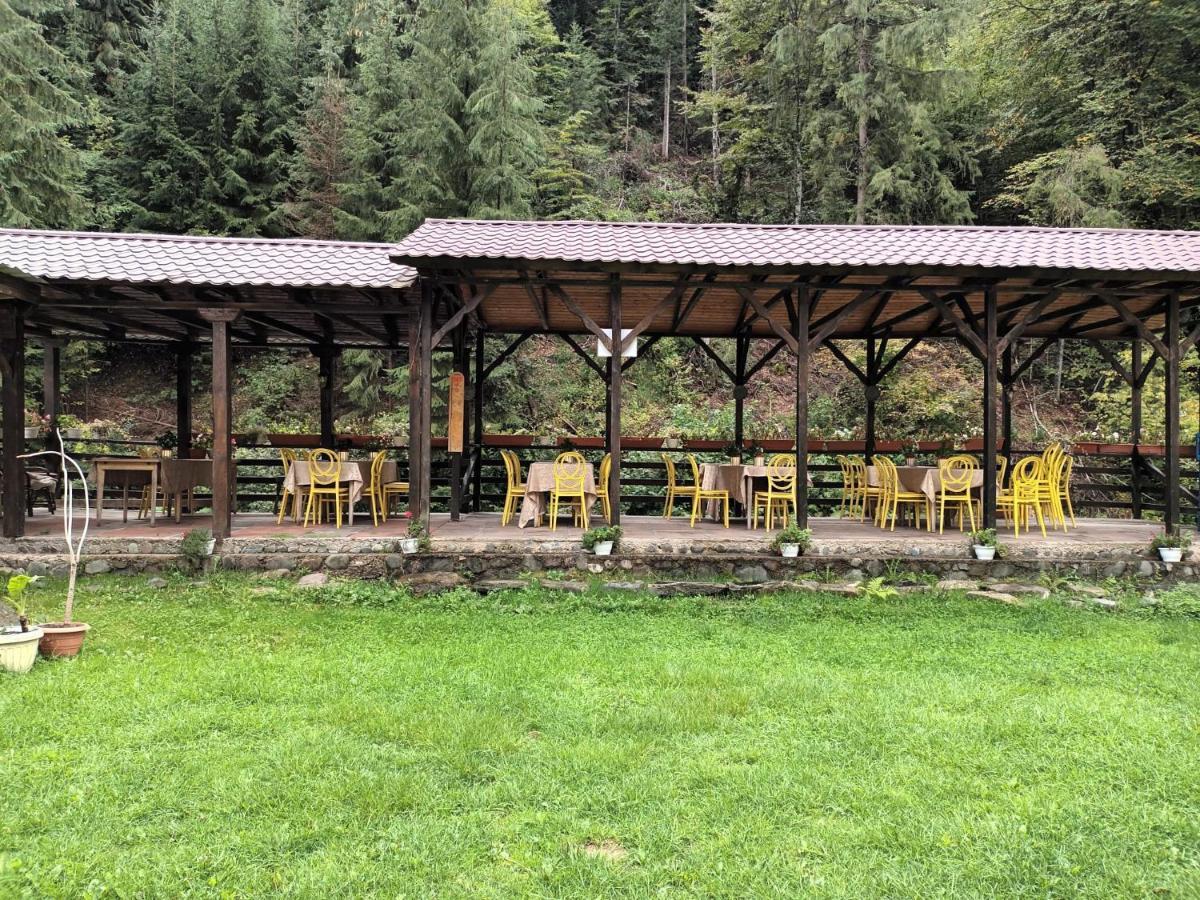 Pension Onelia Girda de Sus Exterior photo